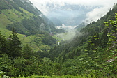 p1010134.jpg