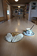 p1010142.jpg
