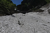 p1010198.jpg