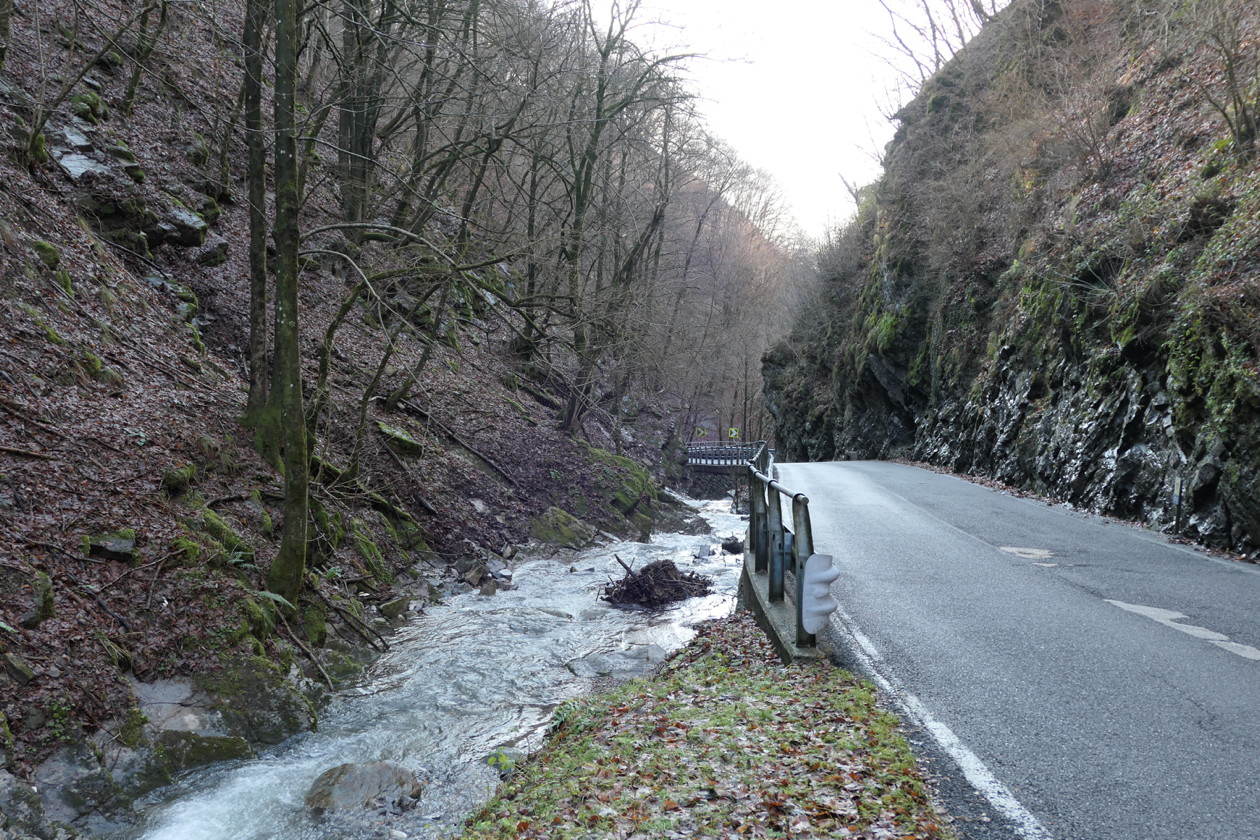 p1030241.jpg