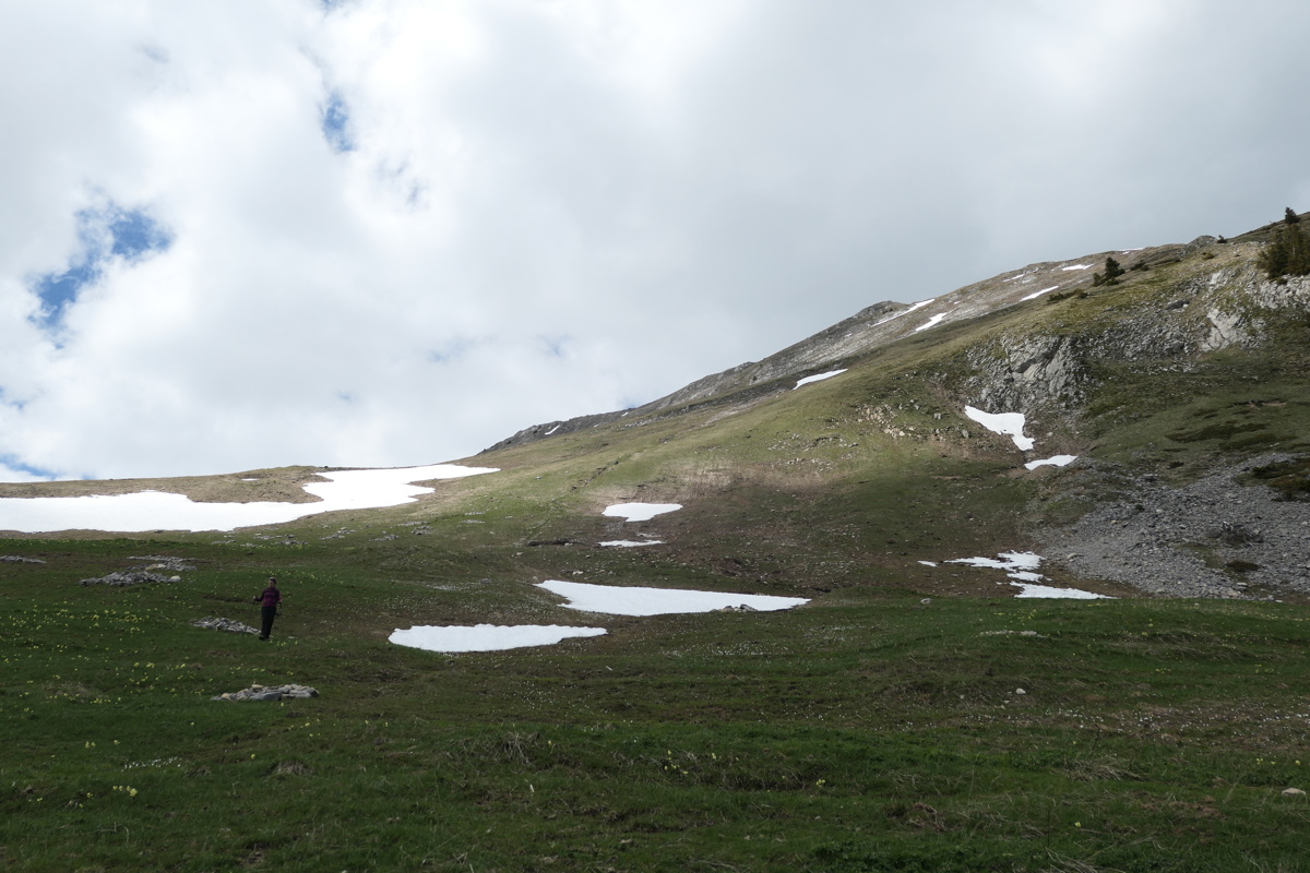 p1000925.jpg