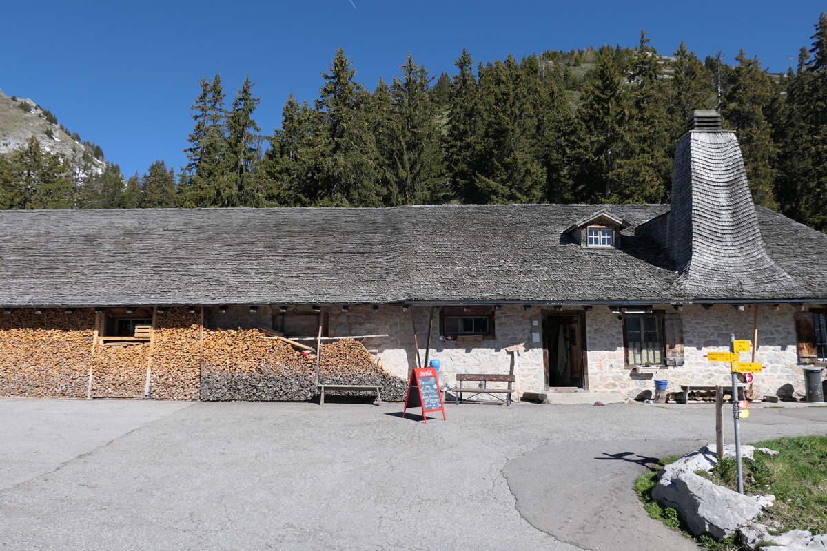 p1000933.jpg