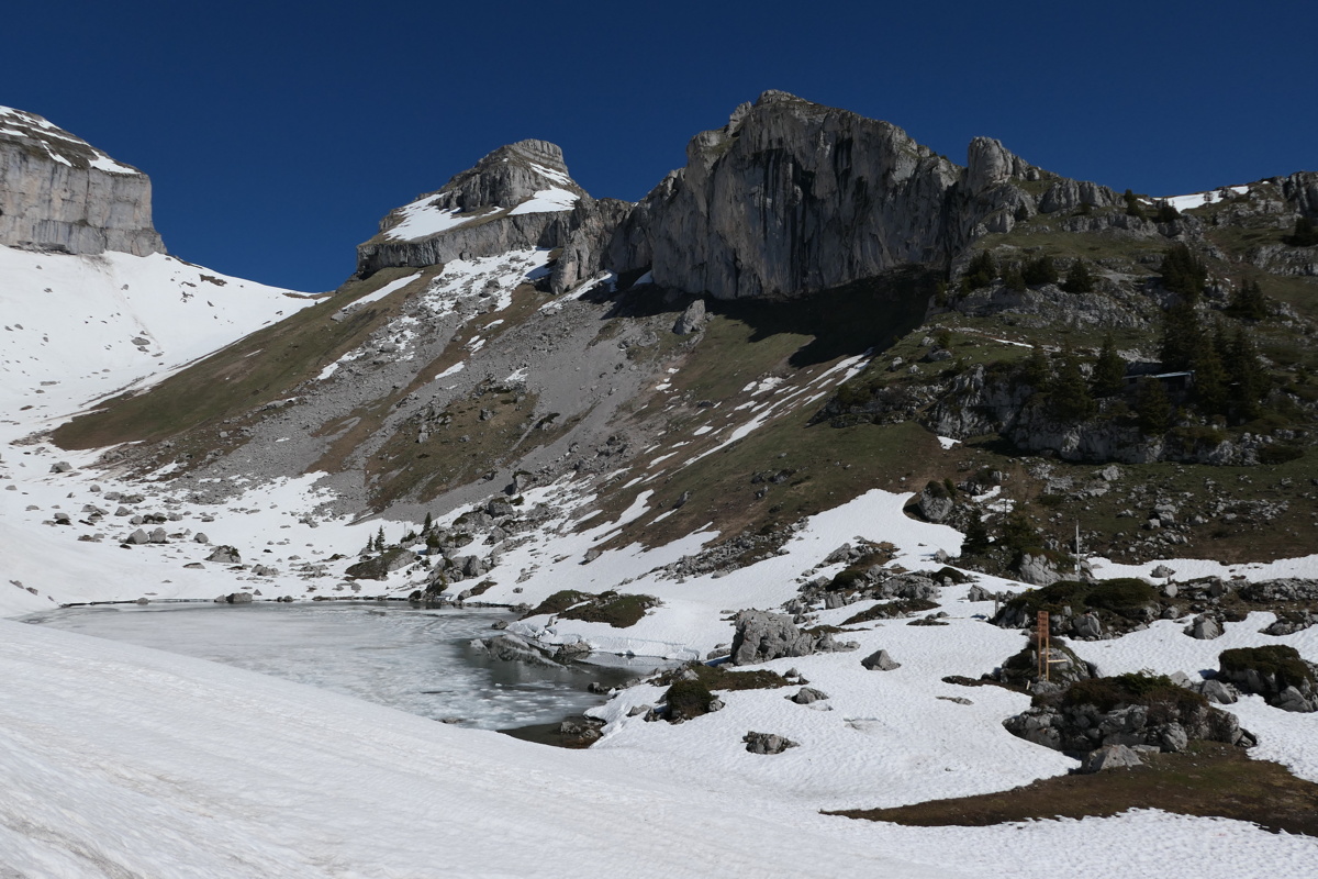 p1000934.jpg