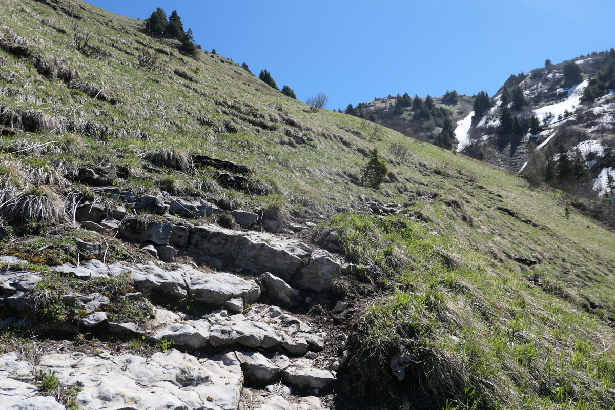 p1000943.jpg