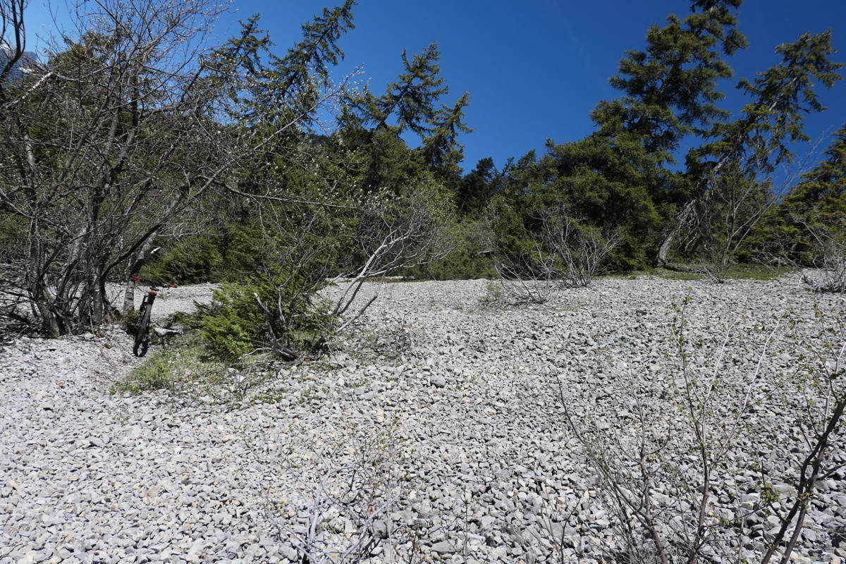 p1000945.jpg