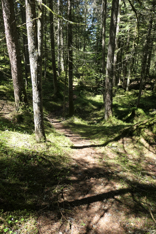 p1000947.jpg