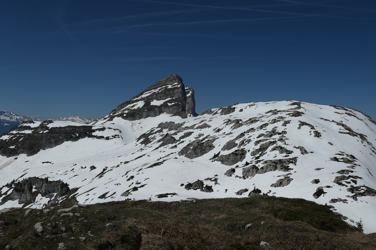 p1000954.jpg