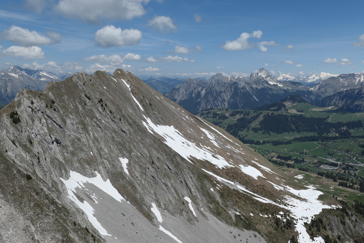 p1000959.jpg