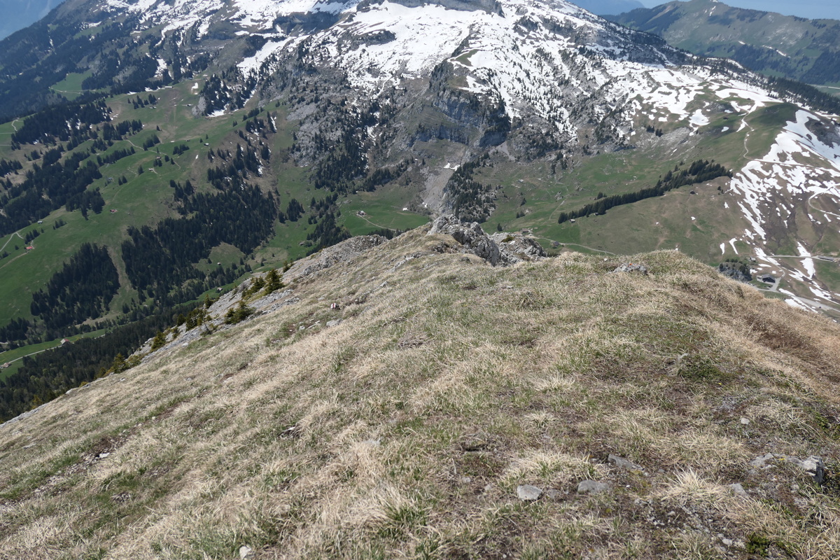 p1000961.jpg