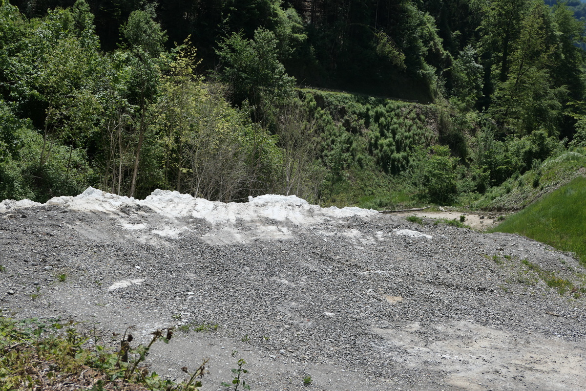 p1000973.jpg