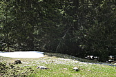 p1000915.jpg