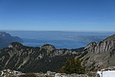 p1000938.jpg