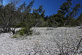 p1000945.jpg