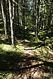 p1000947.jpg