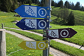 p1000951.jpg