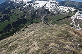 p1000961.jpg