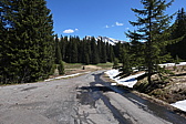p1000967.jpg