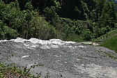 p1000973.jpg