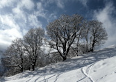 Wintergebirgskurs