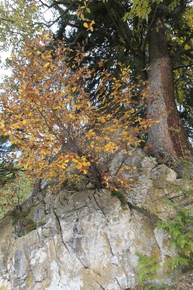 p1010879.jpg