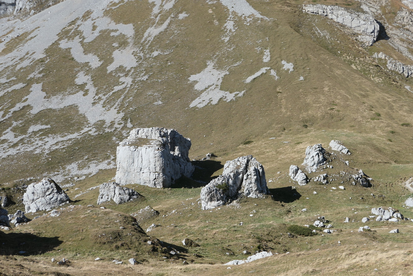 p1010904.jpg