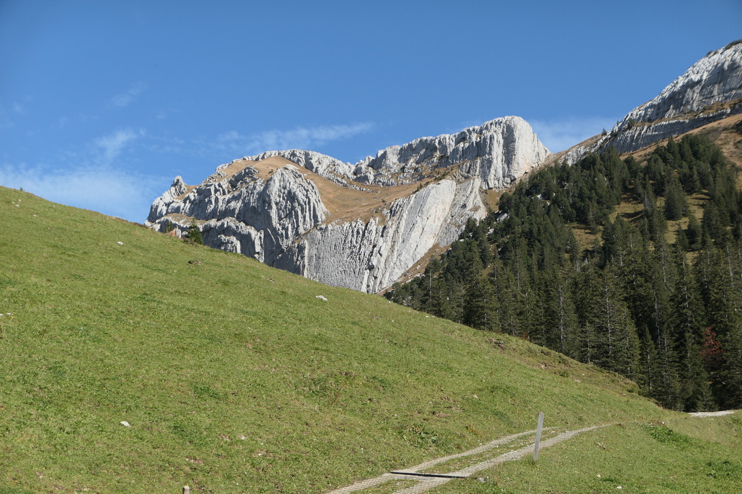 p1010910.jpg