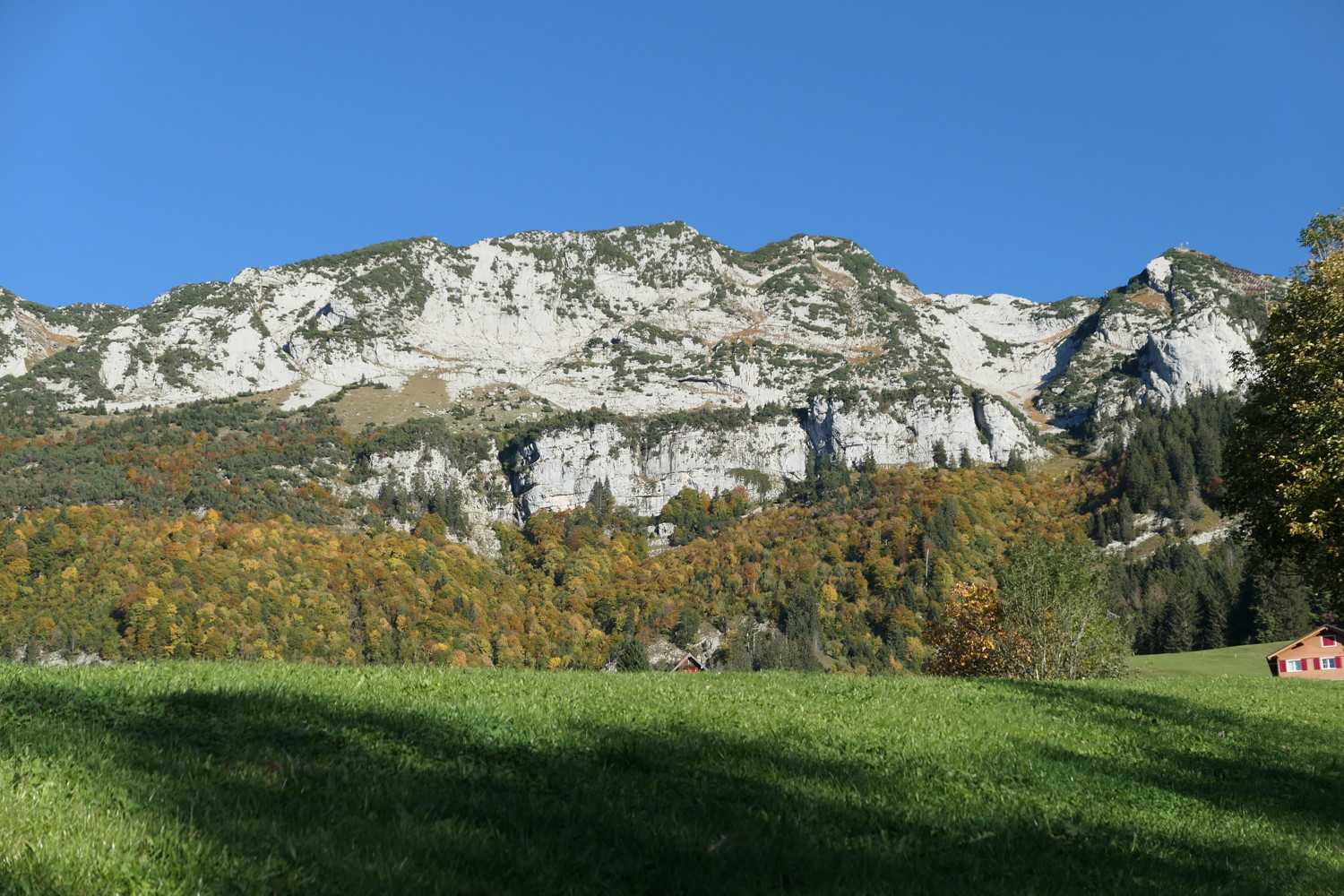 p1010857.jpg