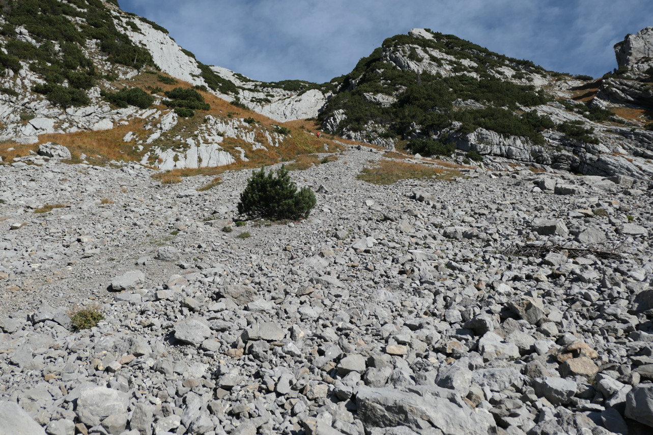 p1010864.jpg