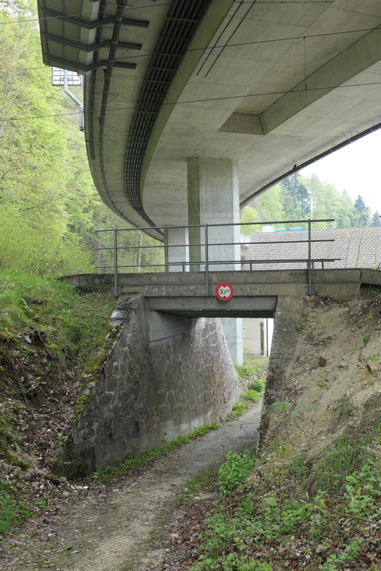 p1000885.jpg