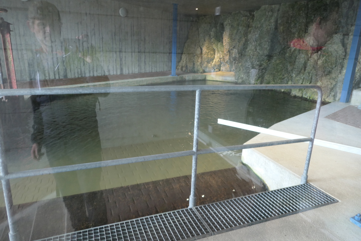 p1000887.jpg