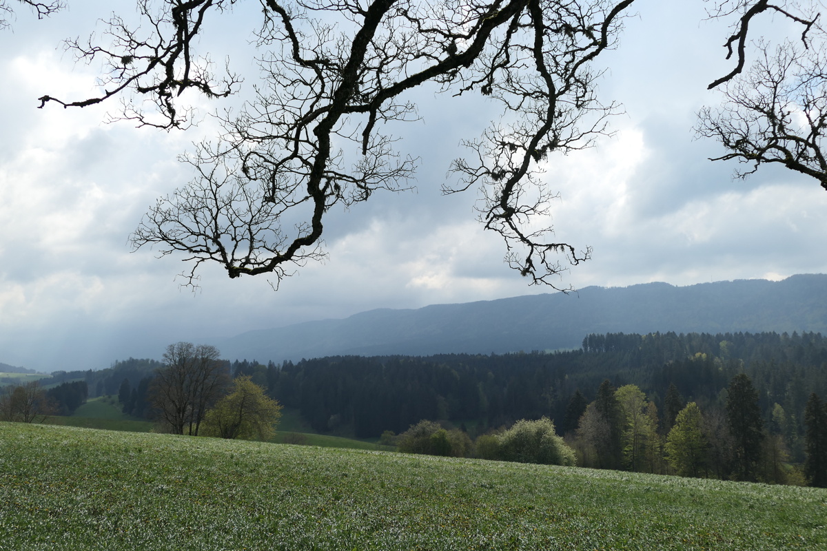 p1000895.jpg