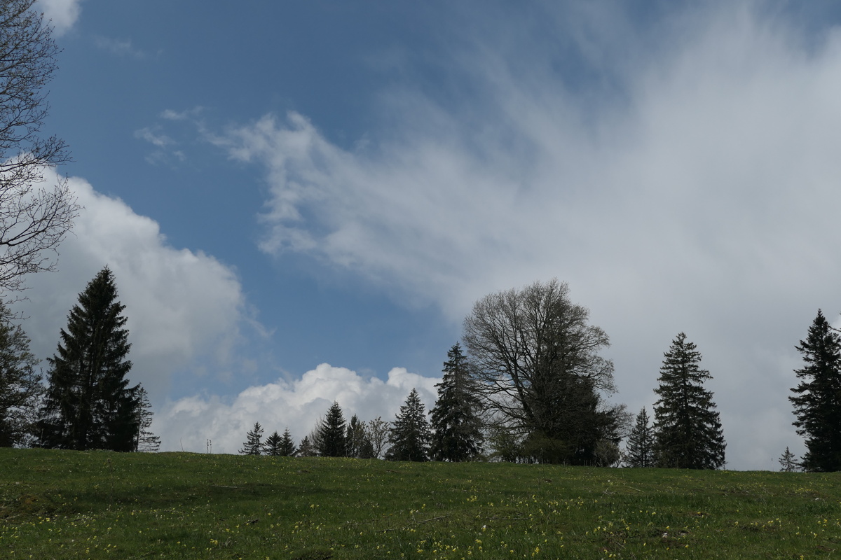 p1000900.jpg