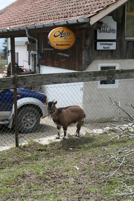 p1000902.jpg