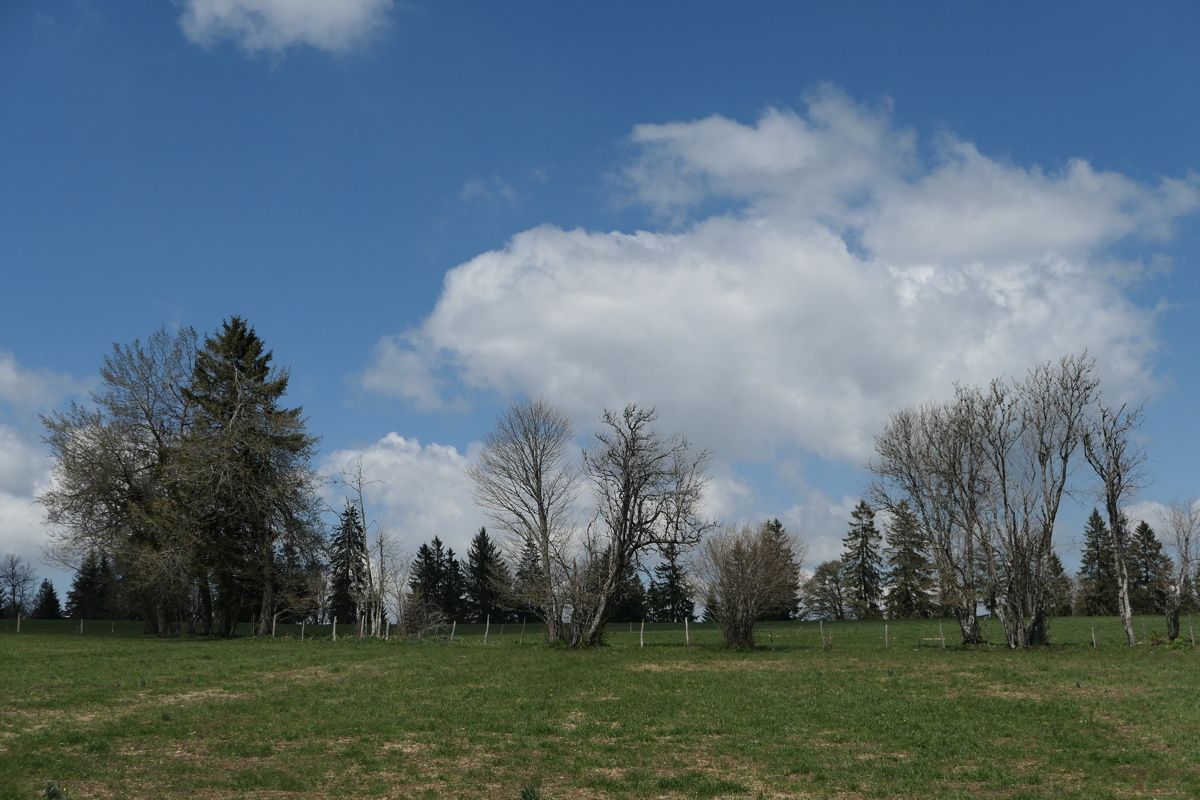 p1000906.jpg