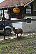 p1000902.jpg