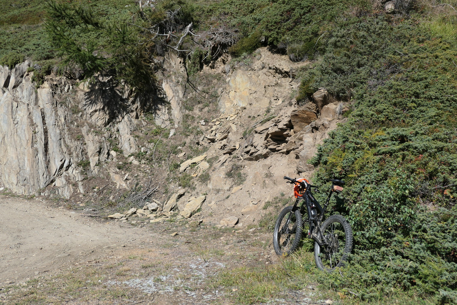 p1010768.jpg