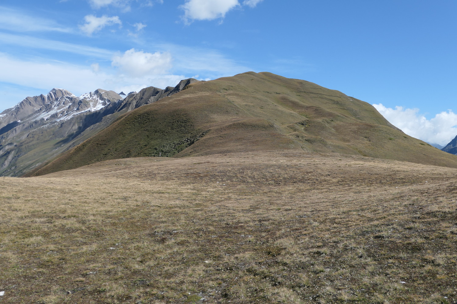 p1010775.jpg