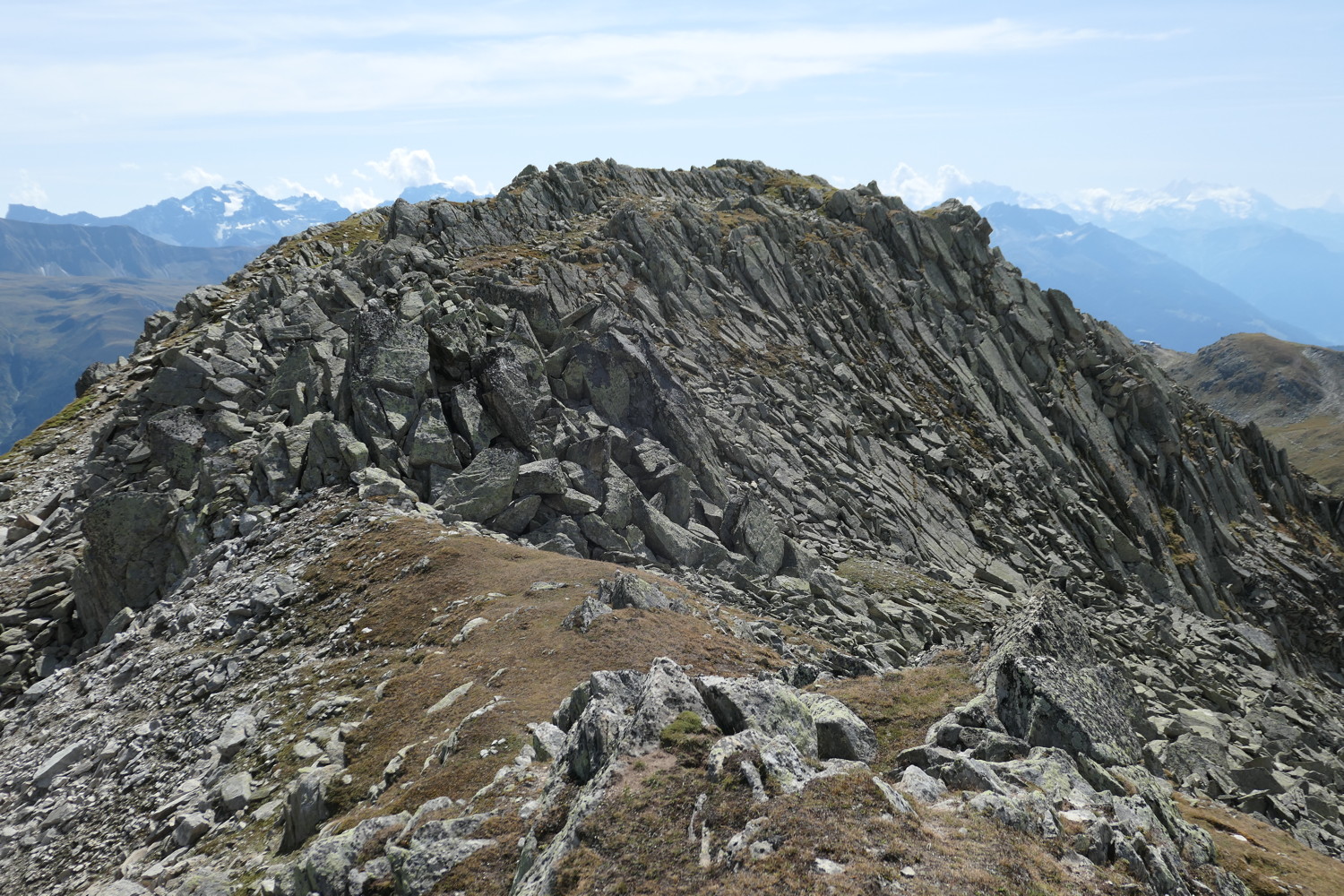 p1010790.jpg