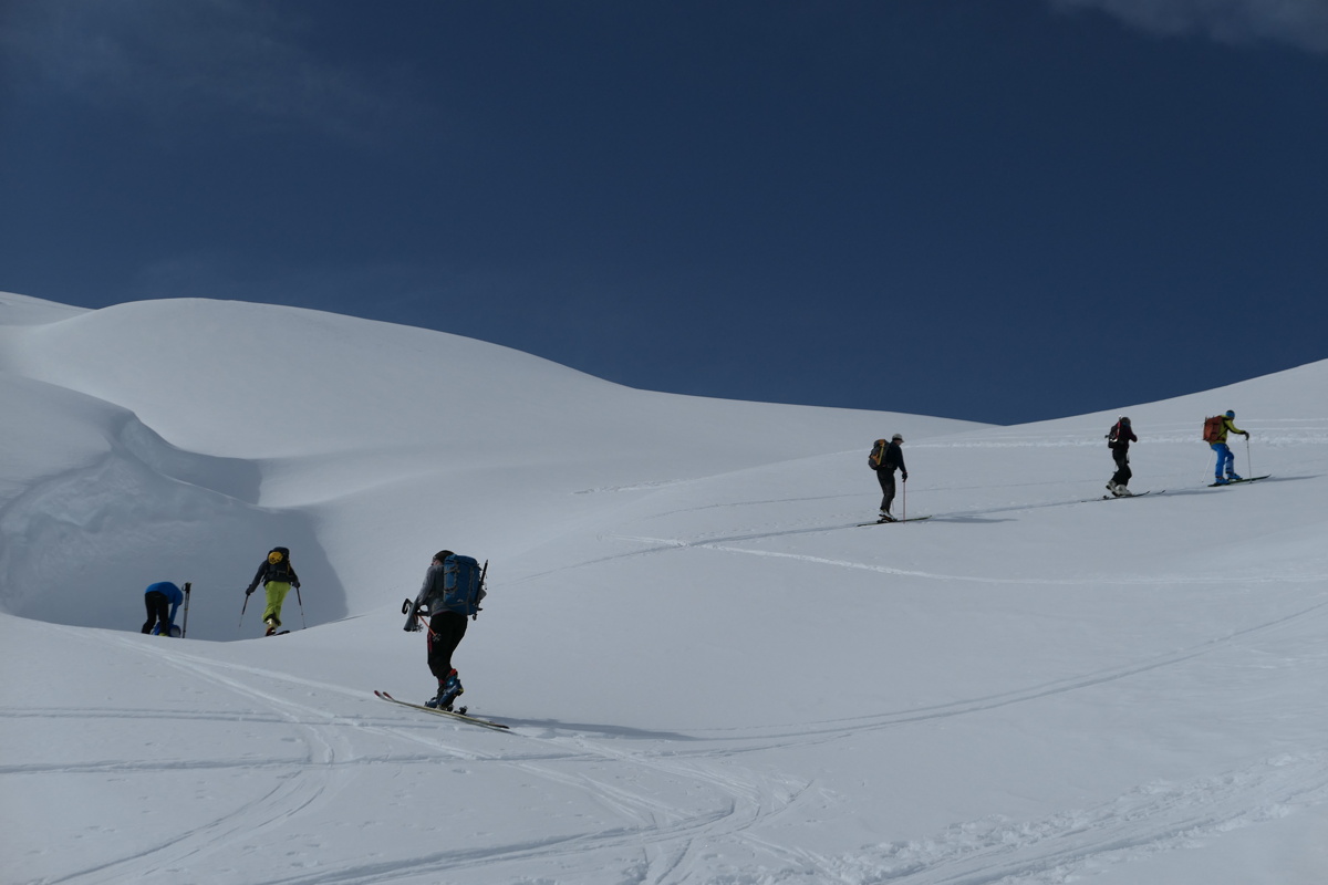 p1000766.jpg