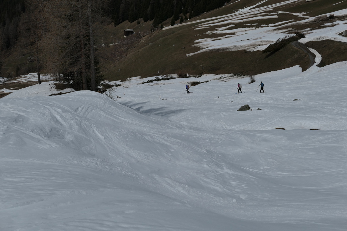 p1000789.jpg
