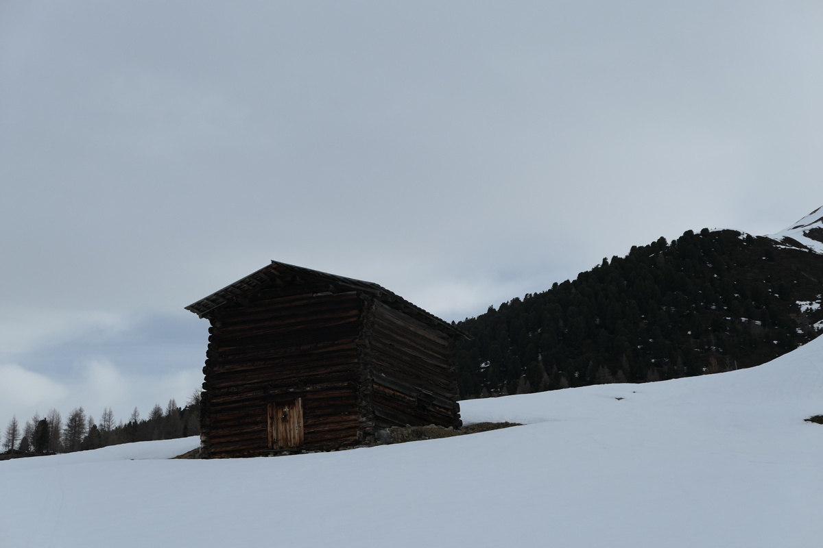 p1000800.jpg