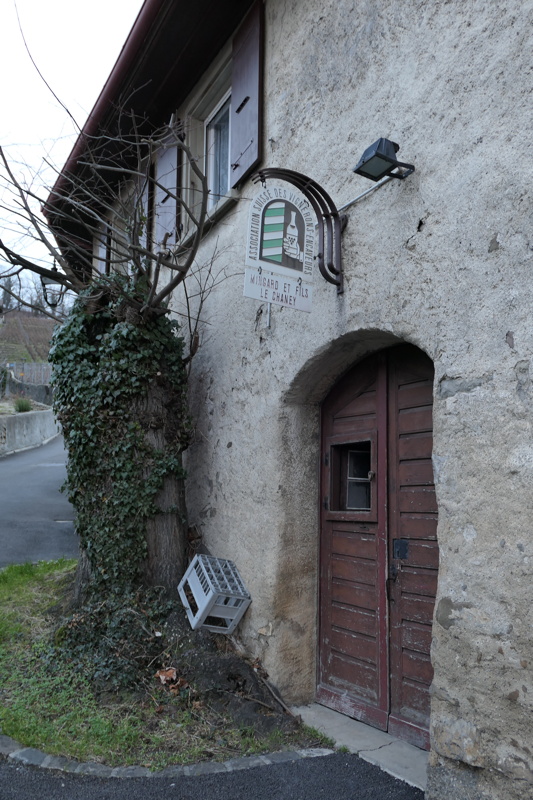 p1000009.jpg