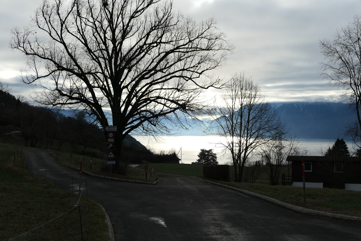 p1000012.jpg