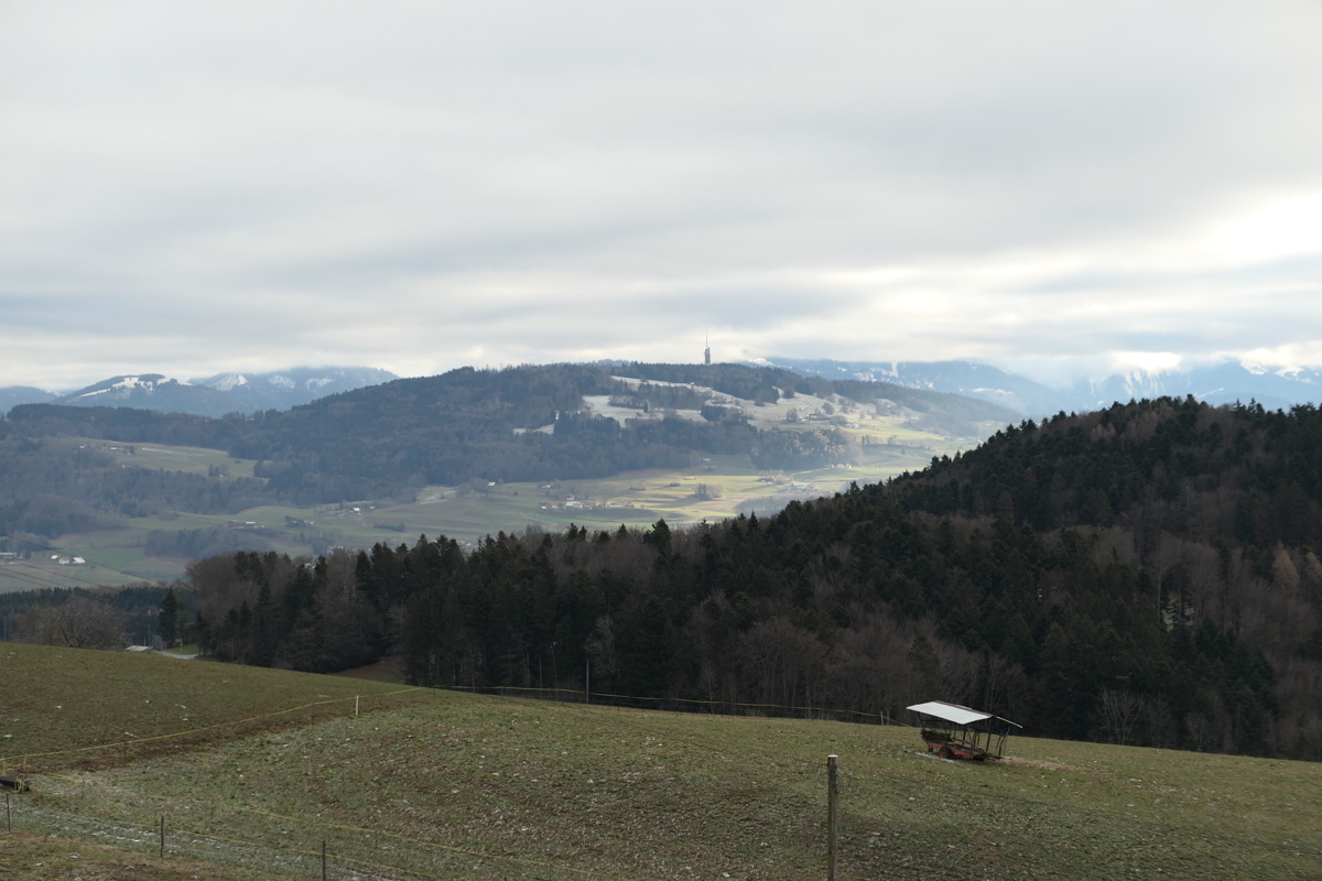 p1000016.jpg
