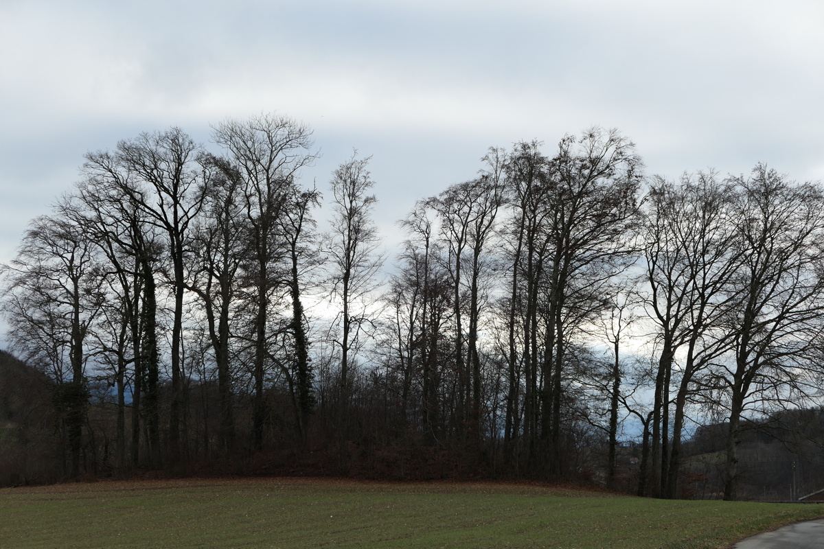 p1000023.jpg