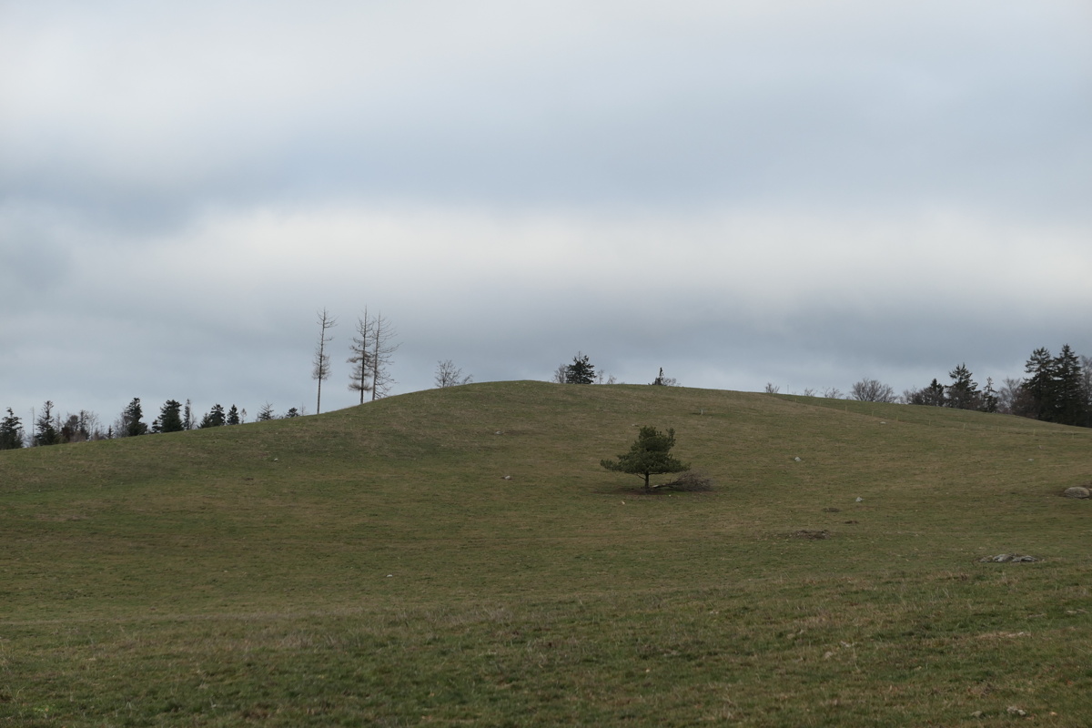 p1000028.jpg