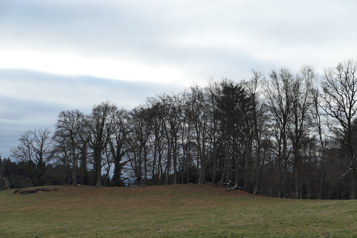 p1000030.jpg