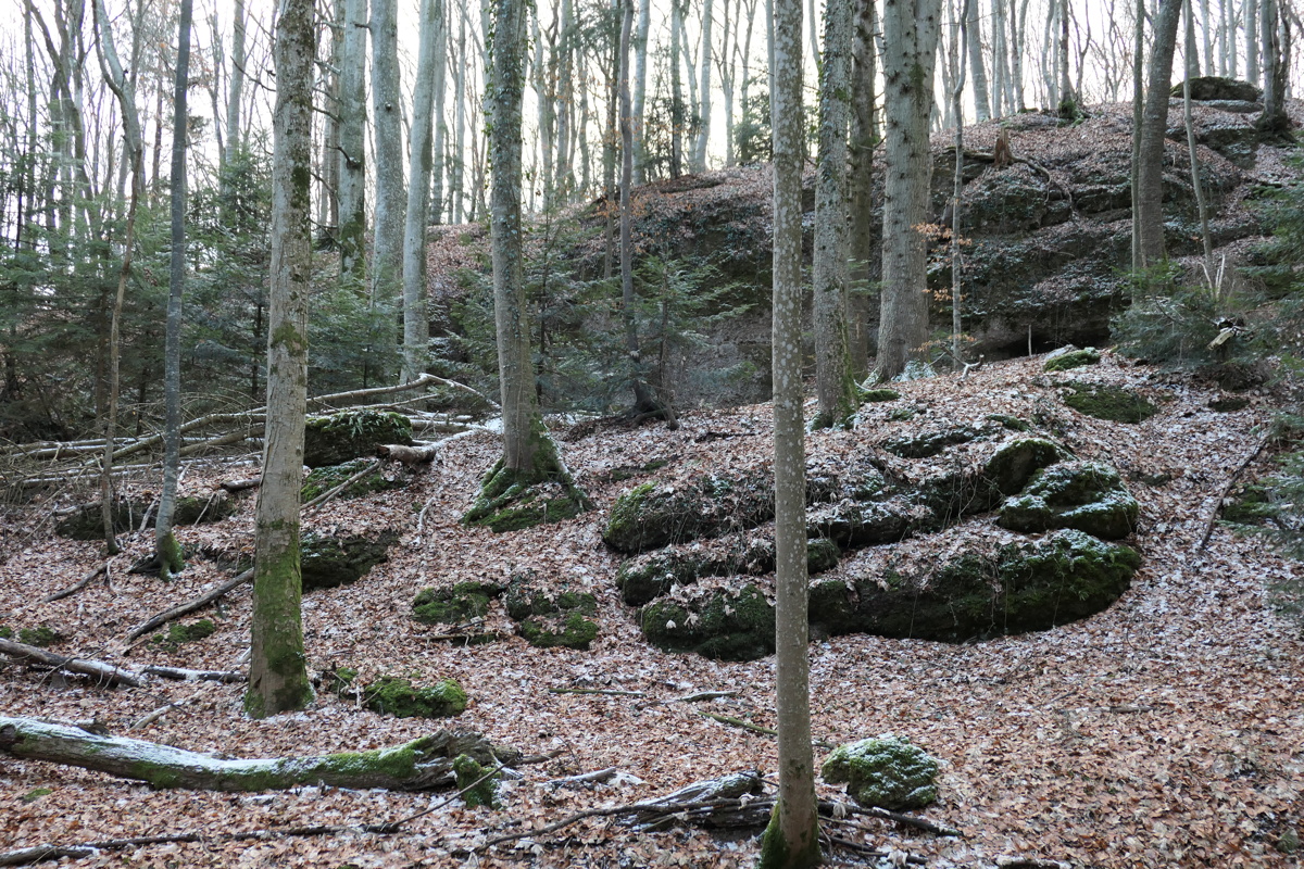 p1000031.jpg