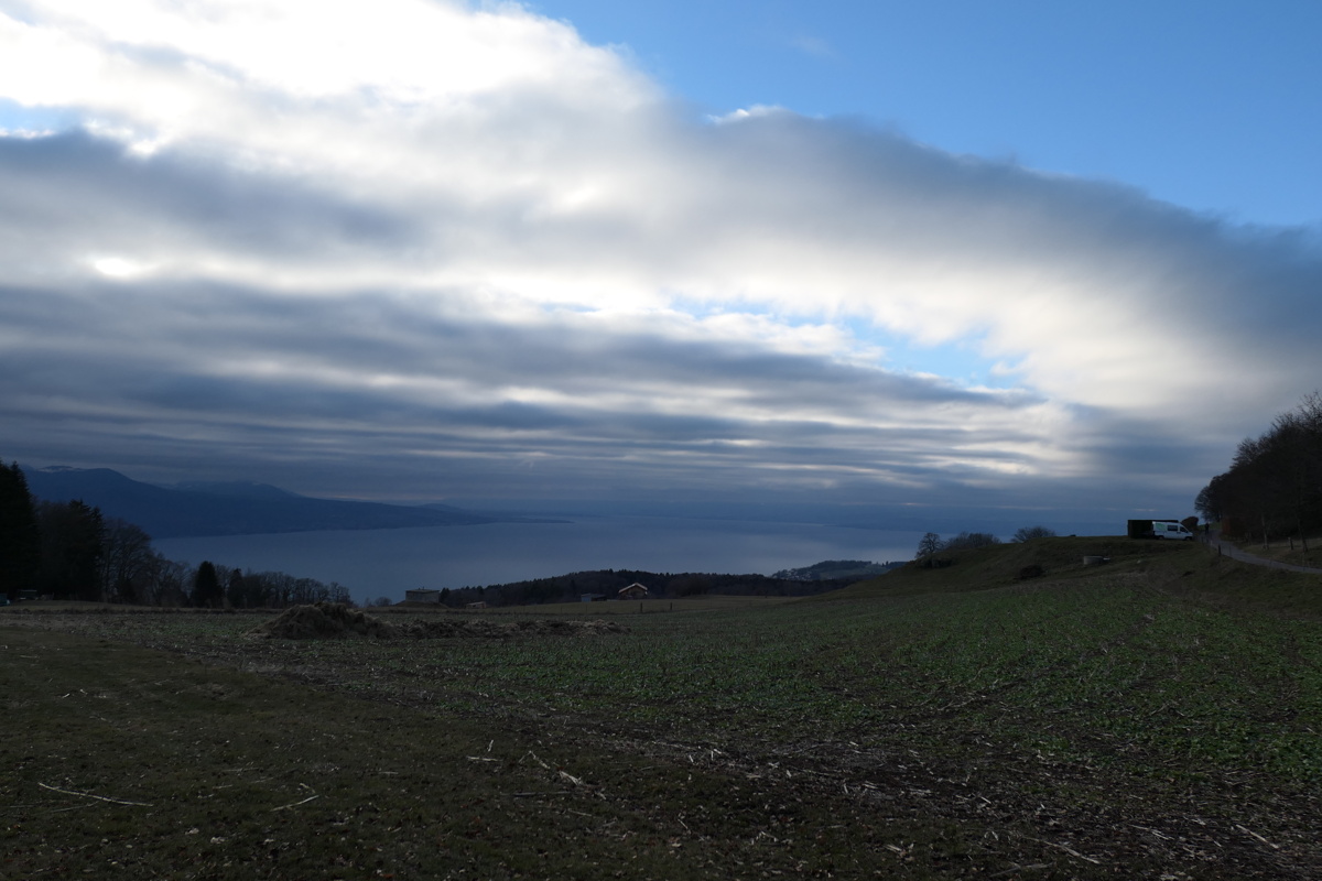 p1000032.jpg