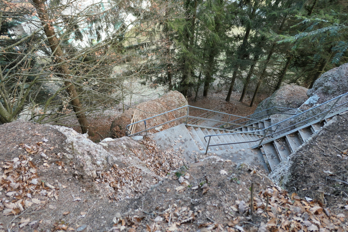 p1000033.jpg